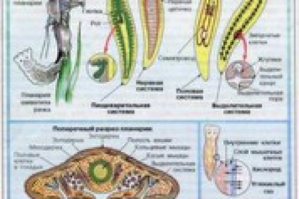 Актуальные ссылки на кракен тор